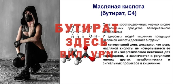 стаф Алексин