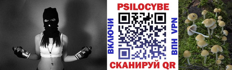наркотики  МЕГА сайт  Псилоцибиновые грибы Magic Shrooms  Волоколамск 